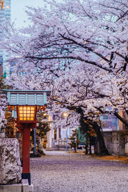 Heather.Tokyo Premium Domain